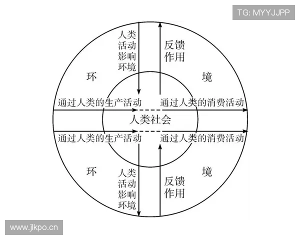 卡马文加：从奇兵到稳定轮换的角色演变分析